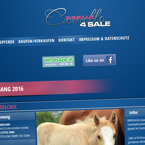 Cavallo4Sale