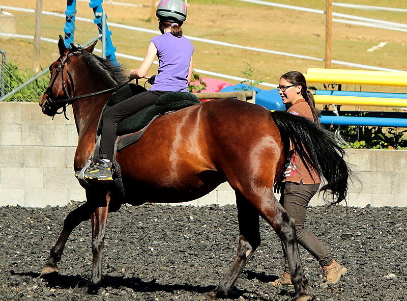 horsebasics-kids-reiten-lernen-fuer-kinder horsebasics-kids-reiten-lernen-fuer-kinder