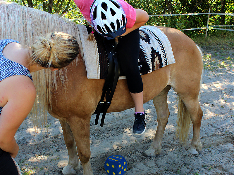horsebasics-kids-reiten-lernen-fuer-kinder-reittherapie2 horsebasics-kids-reiten-lernen-fuer-kinder-reittherapie2